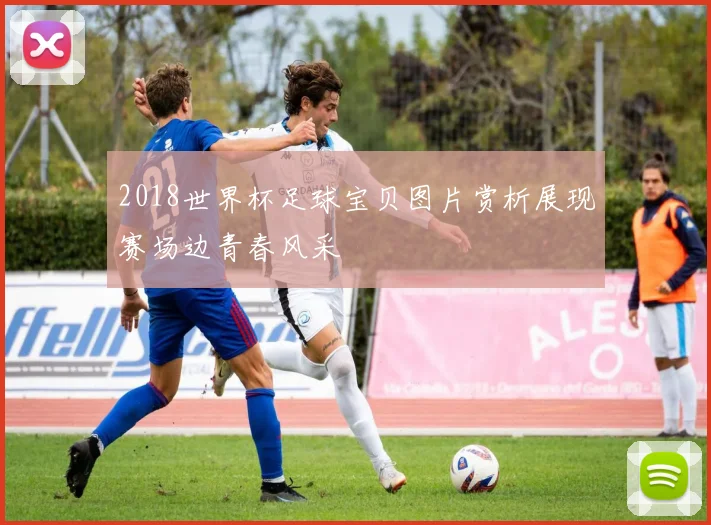2018世界杯足球宝贝图片赏析展现赛场边青春风采