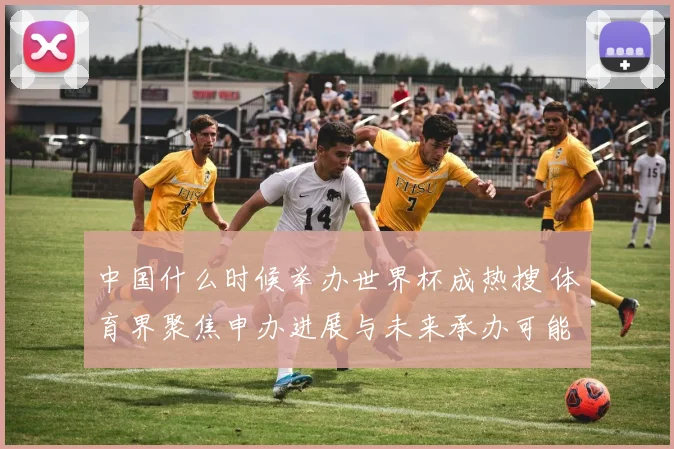 中国什么时候举办世界杯成热搜 体育界聚焦申办进展与未来承办可能