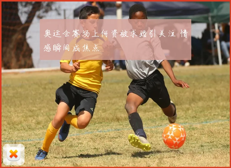 奥运会赛场上何资被求婚引关注 情感瞬间成焦点