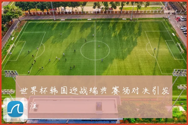 世界杯韩国迎战瑞典 赛场对决引发关注