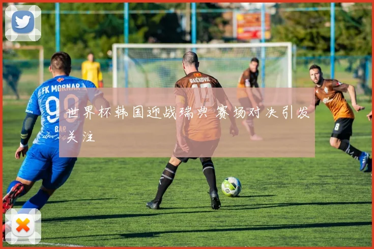 世界杯韩国迎战瑞典 赛场对决引发关注
