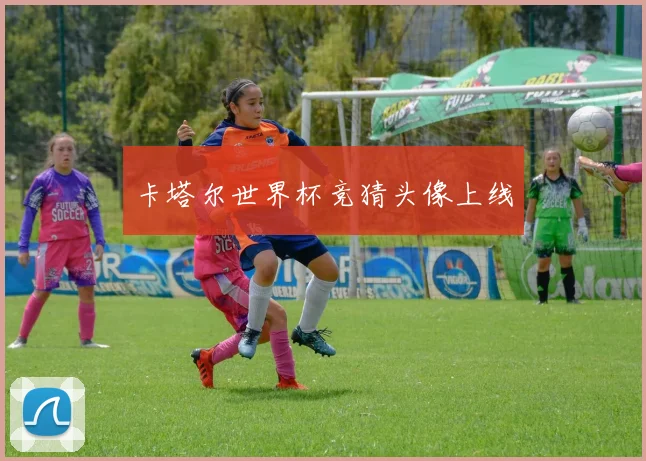 卡塔尔世界杯竞猜头像上线