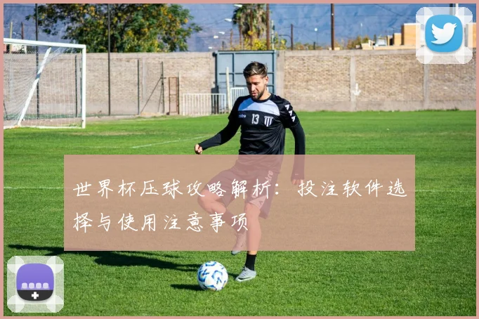 世界杯压球攻略解析：投注软件选择与使用注意事项