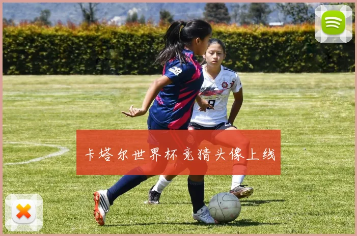卡塔尔世界杯竞猜头像上线