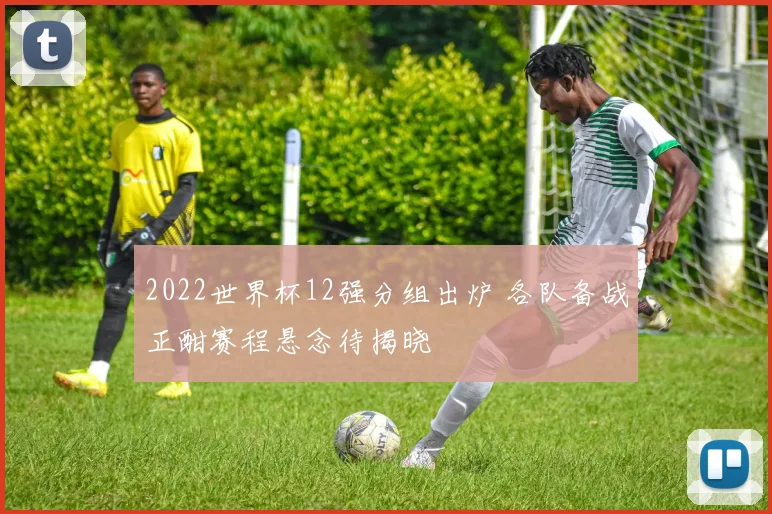 2022世界杯12强分组出炉 各队备战正酣赛程悬念待揭晓