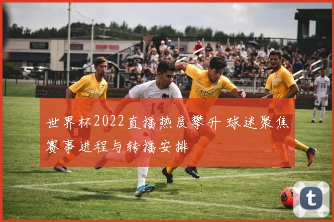 世界杯2022直播热度攀升 球迷聚焦赛事进程与转播安排