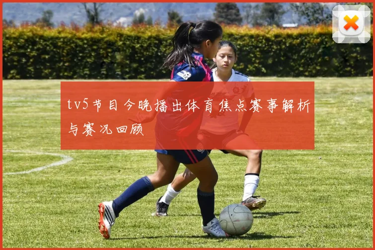 tv5节目今晚播出体育焦点赛事解析与赛况回顾